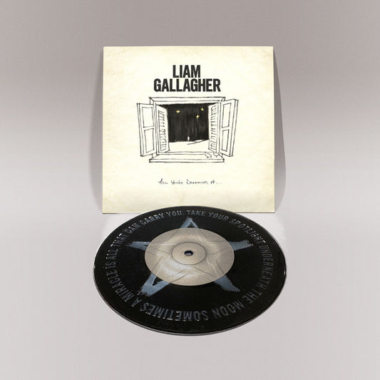 All You're Dreaming Of - Black 7" Vinyl